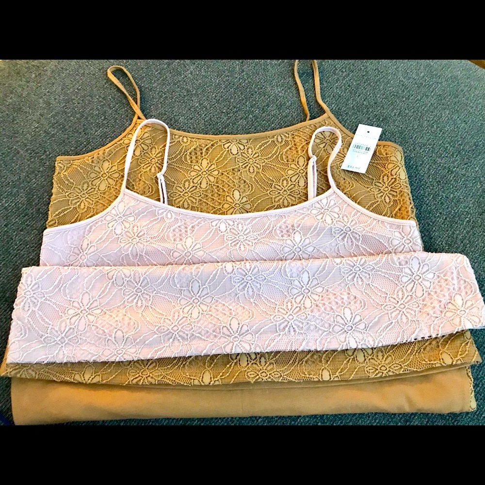 Taylor Camis Bundle!